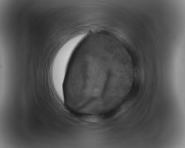 X0000086280127200704191954