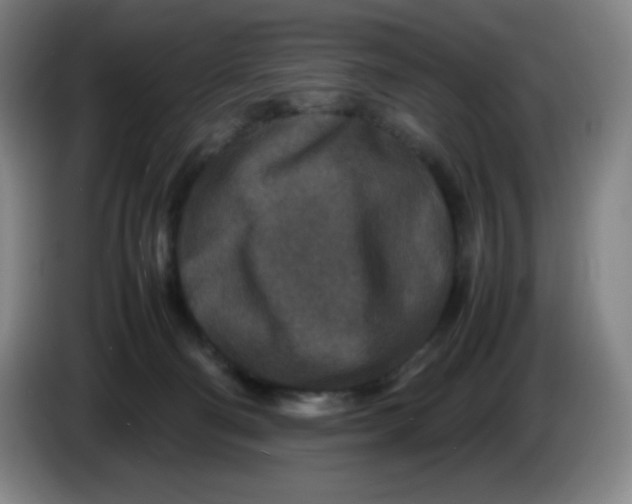 X0000086280130200704191954