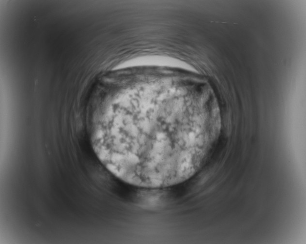 X0000086280131200704191954