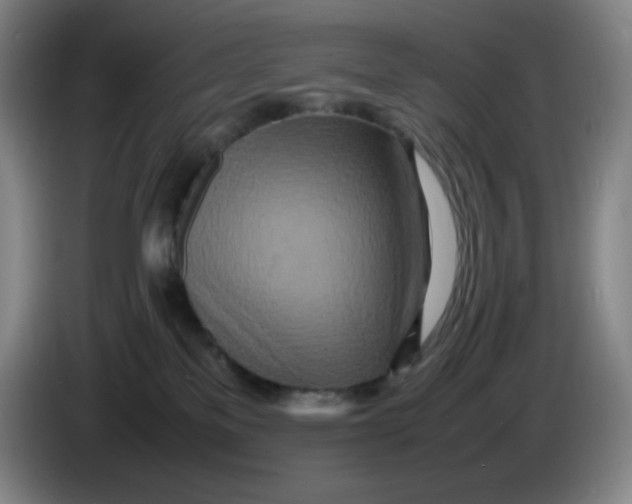 X0000086280137200704191954