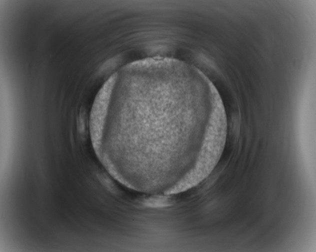 X0000086280138200704191954