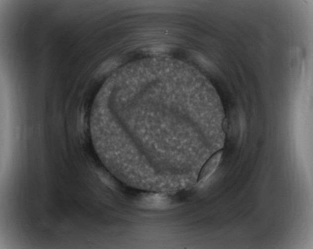 X0000086280140200704191954