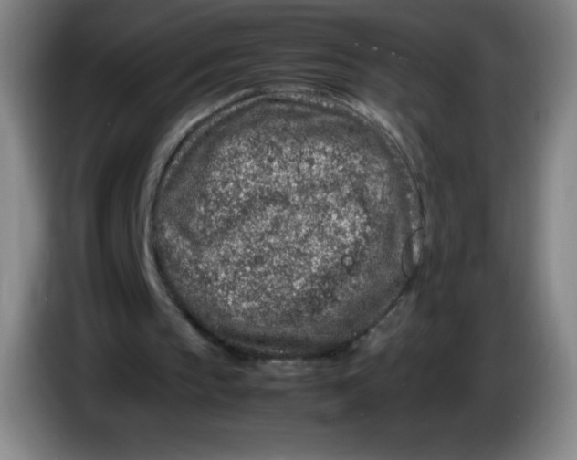 X0000086280145200704191953