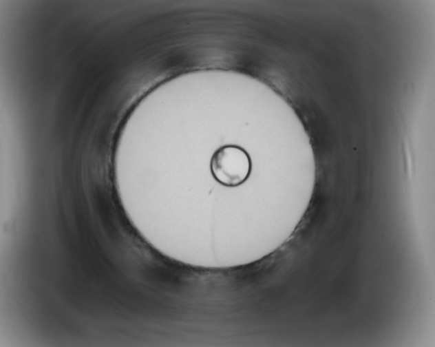 X0000086280146200704191953