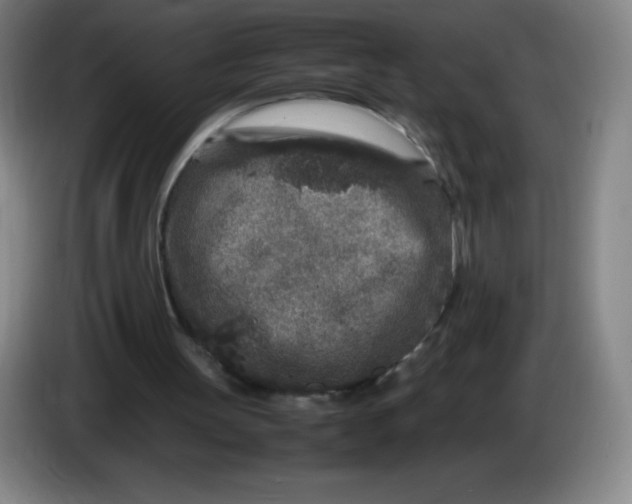 X0000086280147200704191953