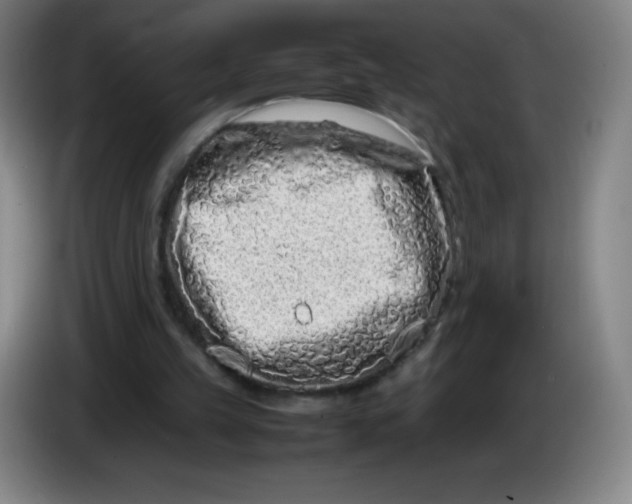 X0000086280149200704191953