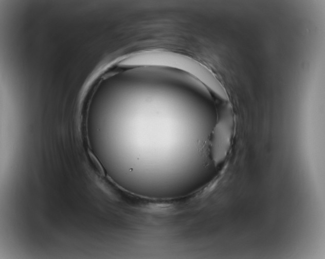 X0000086280150200704191953