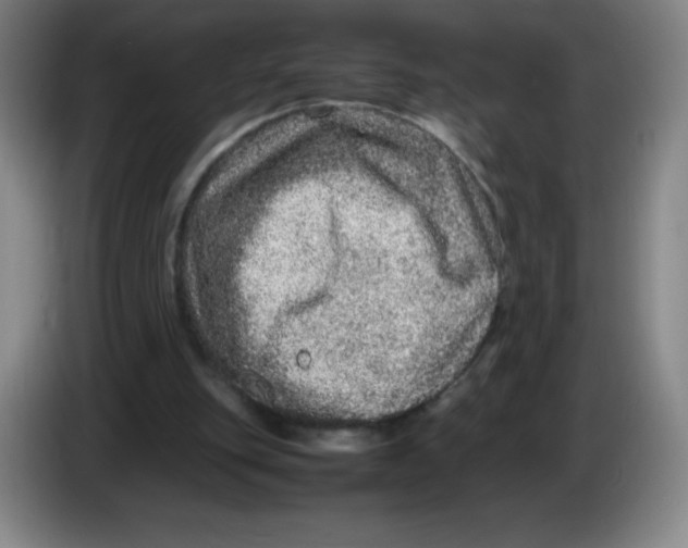 X0000086280151200704191953