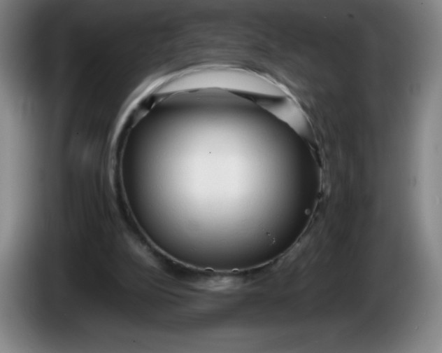 X0000086280152200704191953