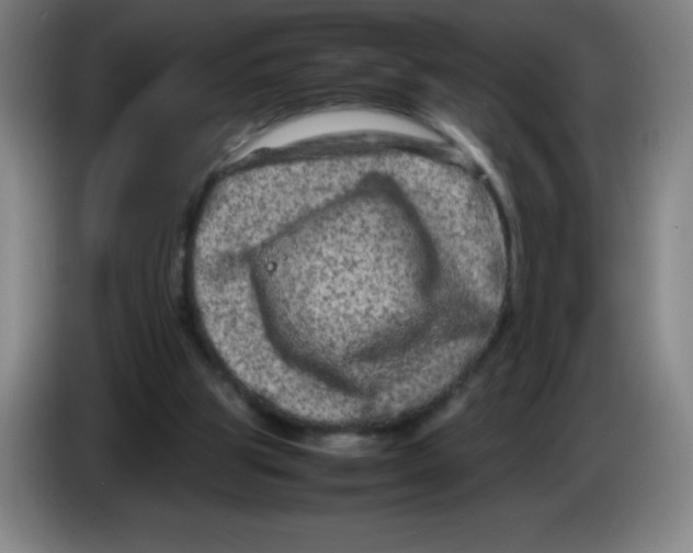 X0000086280153200704191953