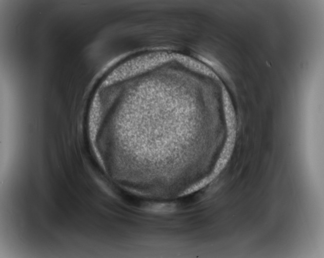 X0000086280155200704191953