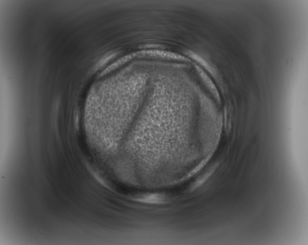 X0000086280157200704191953