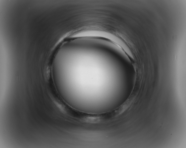 X0000086280160200704191953