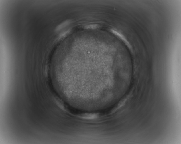 X0000086280161200704191953