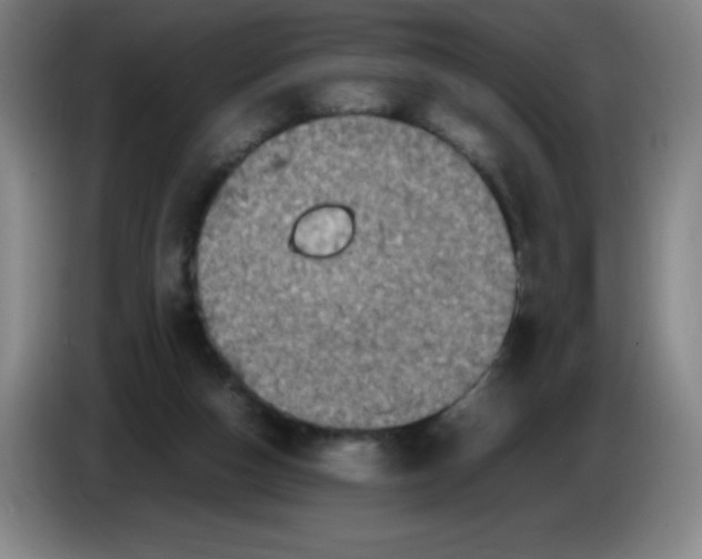 X0000086280162200704191953