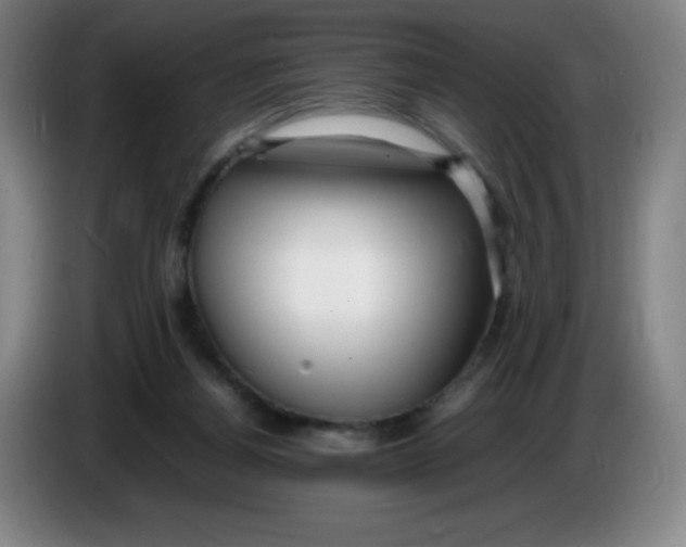 X0000086280164200704191953