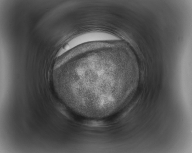 X0000086280165200704191953