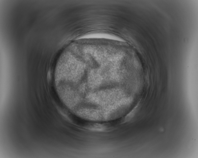 X0000086280166200704191953