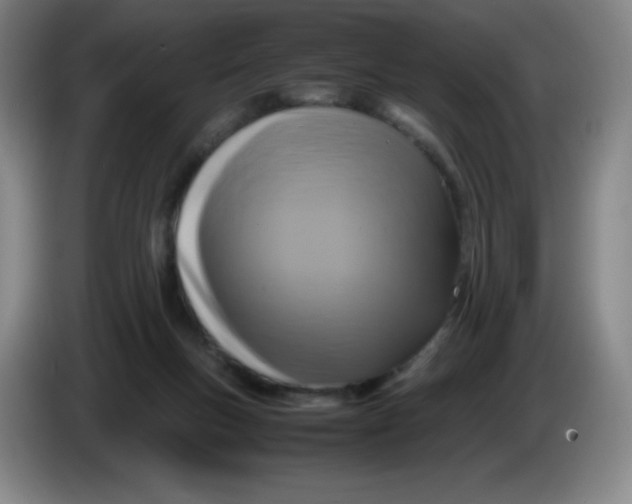 X0000086280167200704191953