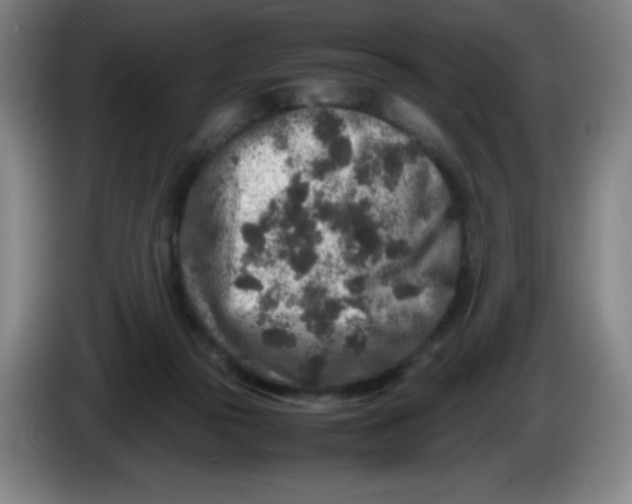 X0000086280169200704191953