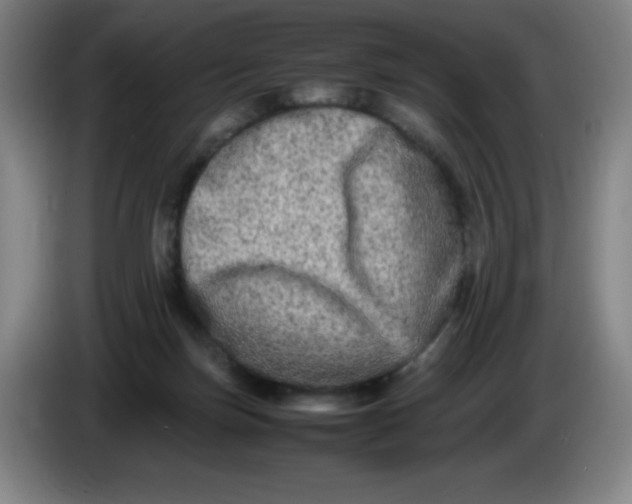 X0000086280171200704191953