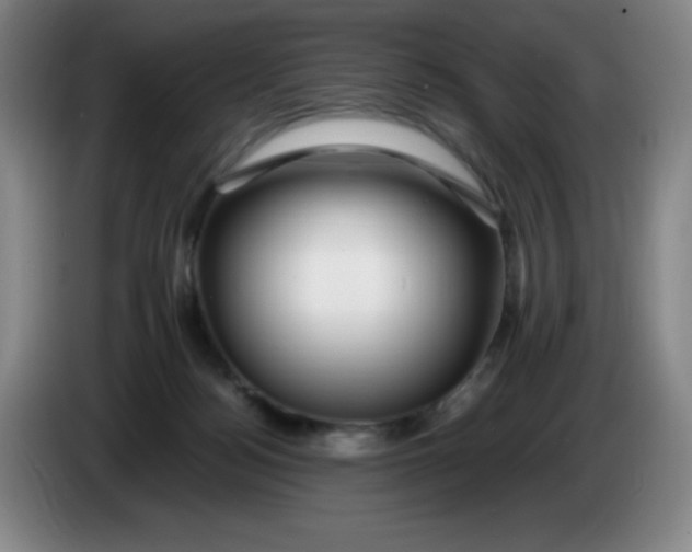 X0000086280172200704191954