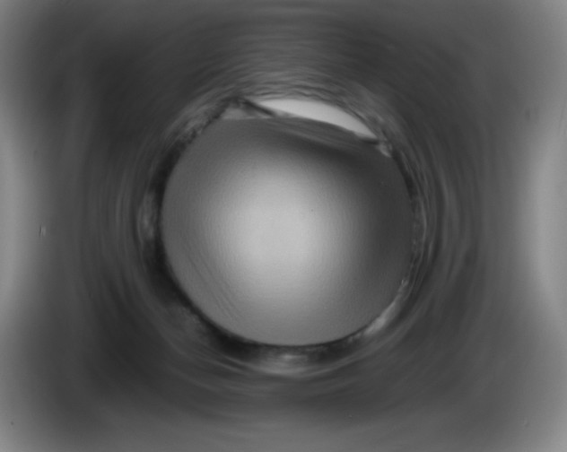 X0000086280174200704191954