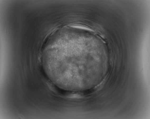 X0000086280175200704191954