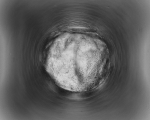 X0000086280178200704191954