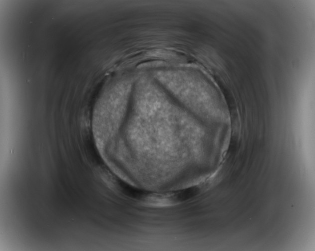 X0000086280179200704191954