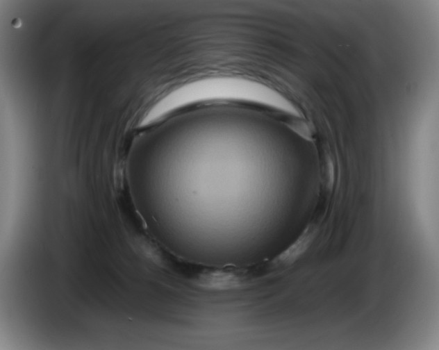 X0000086280180200704191954