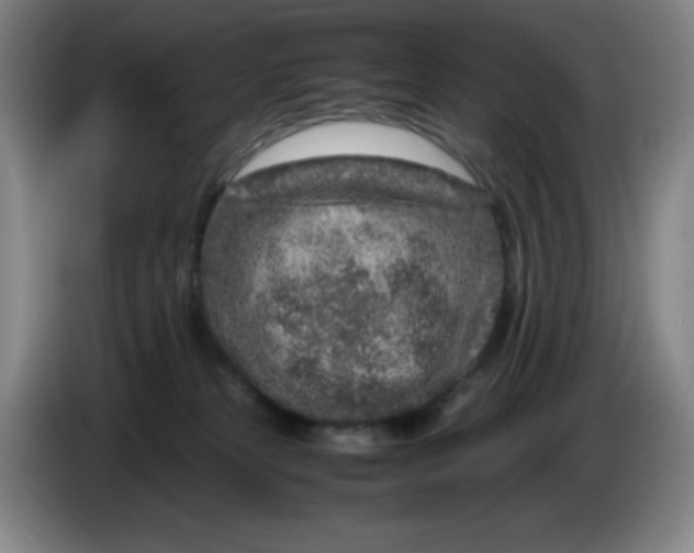 X0000086280181200704191954