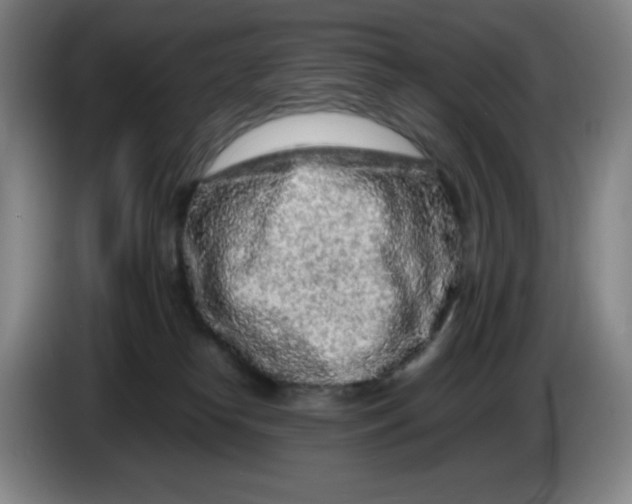 X0000086280182200704191954