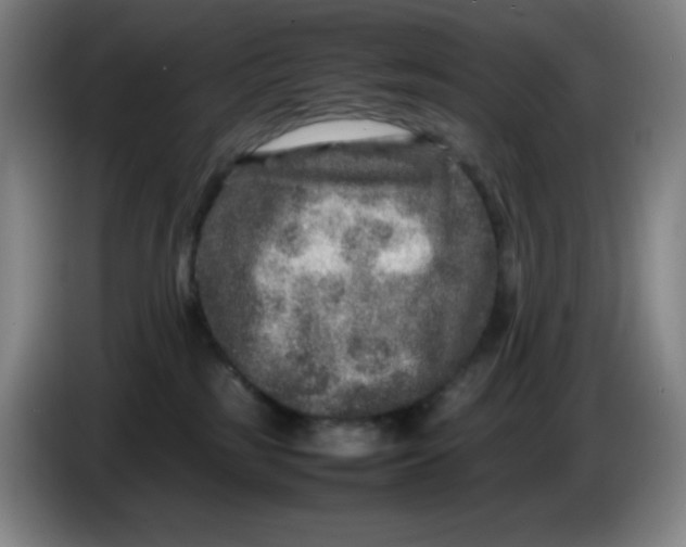 X0000086280185200704191954