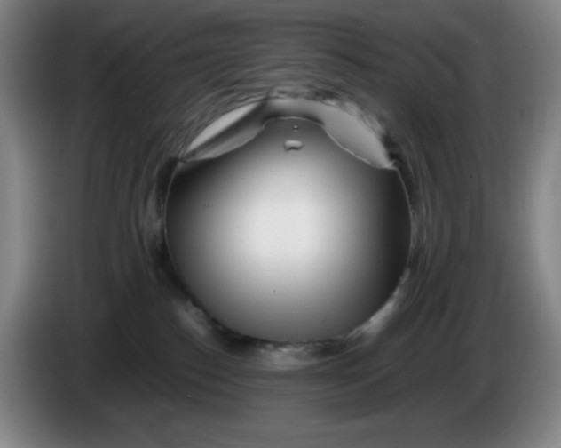 X0000086280186200704191954