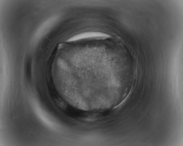 X0000086280191200704191954