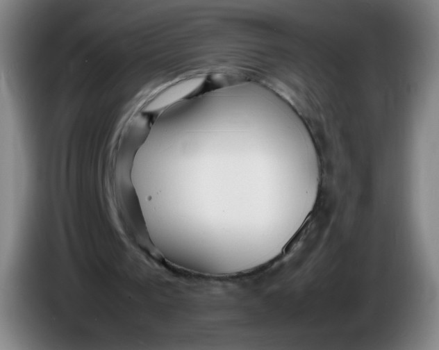 X0000086280193200704191953