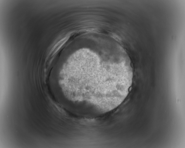 X0000086280194200704191953