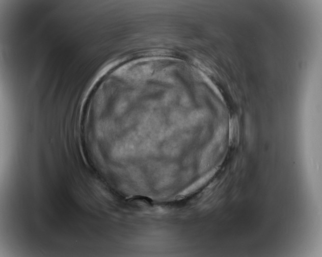 X0000086280195200704191953