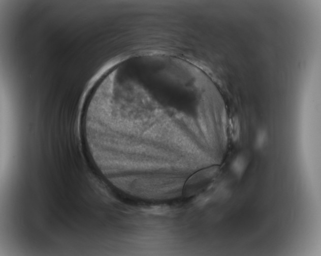 X0000086280196200704191953