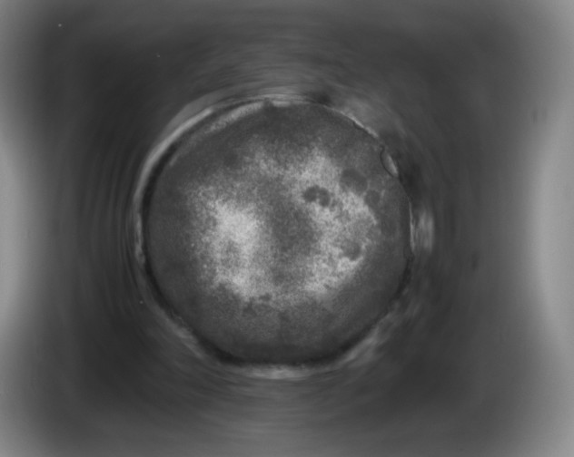 X0000086280198200704191953