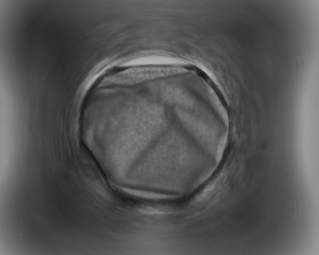 X0000086280199200704191953