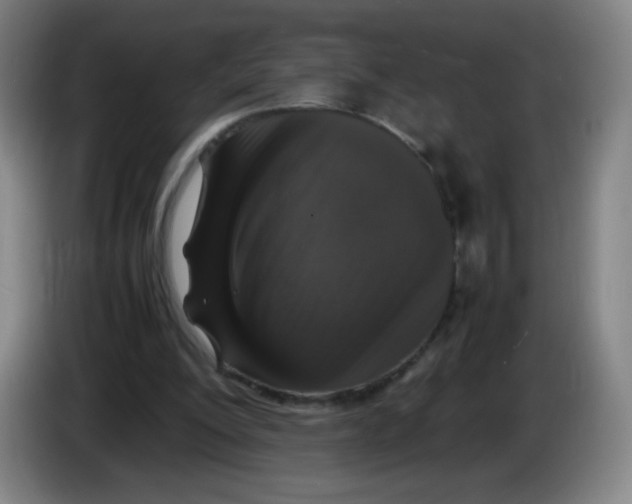 X0000086280200200704191953