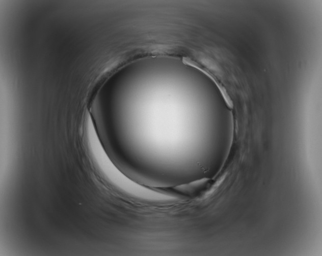 X0000086280201200704191953