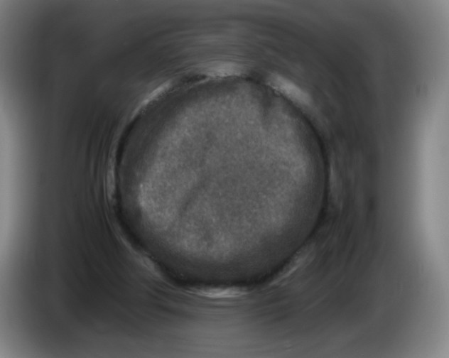 X0000086280202200704191953