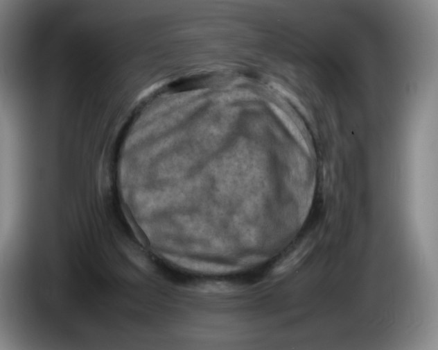 X0000086280203200704191953