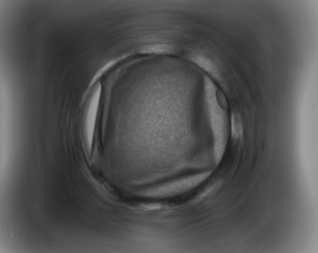 X0000086280204200704191953