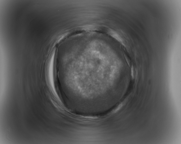 X0000086280205200704191953