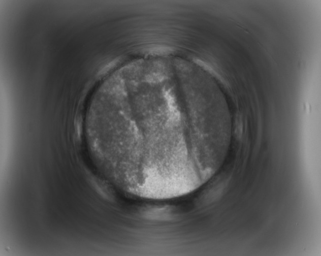 X0000086280206200704191953