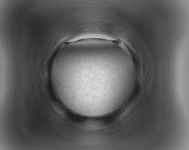 X0000086280207200704191953